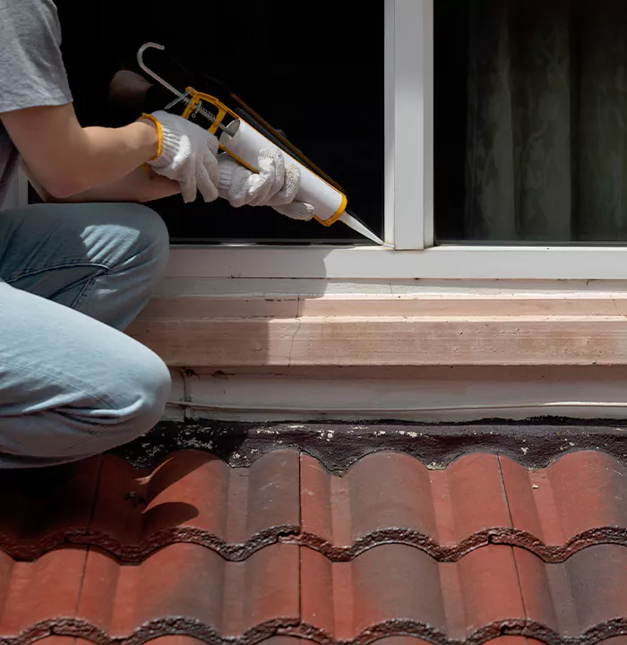 Roof Window Services in Englewood, Florida