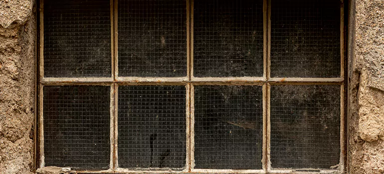 Traditional Double Front Doors in Englewood, FL