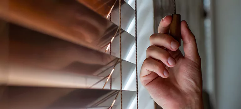 Double Roller Blinds in Englewood, FL