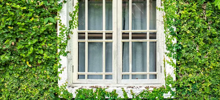 Garden Window Repair Near Me in Englewood, FL