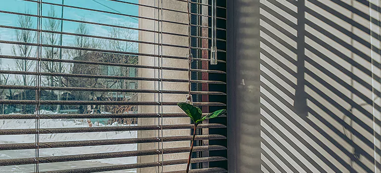 Commercial Window Blinds in Englewood, FL