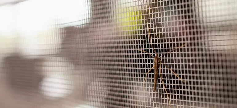 Repair Mosquito Mesh For Windows in Englewood, FL
