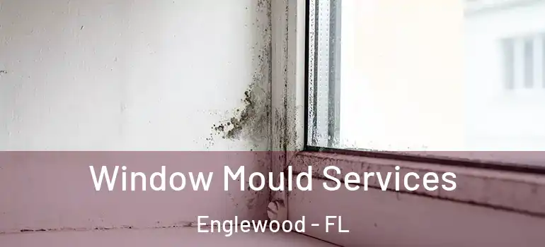 Window Mould Services Englewood - FL